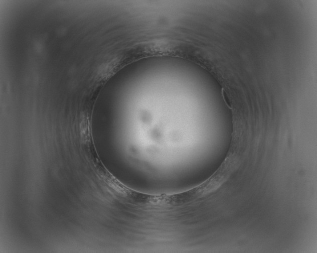 X0000051910624200507011535