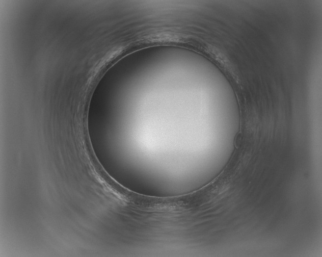 X0000051910625200507011534