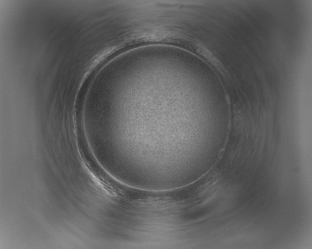 X0000051910626200507011534