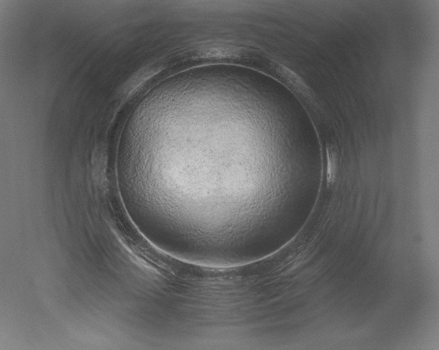 X0000051910627200507011534