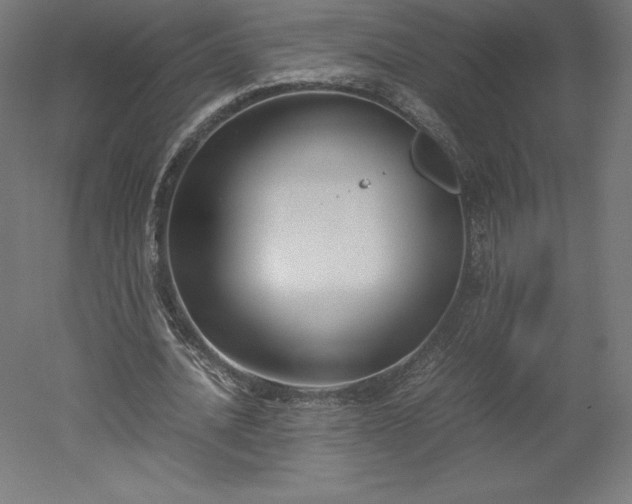 X0000051910628200507011534