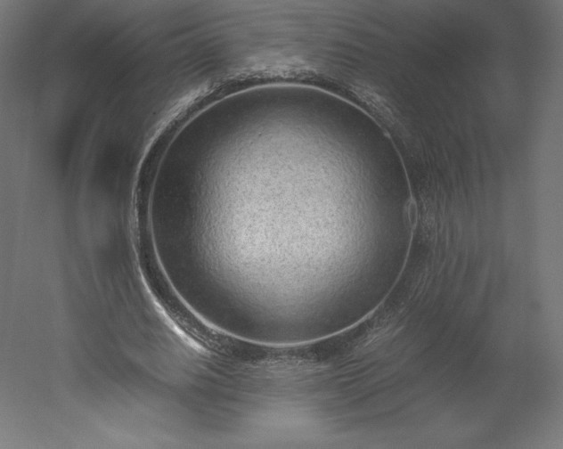 X0000051910630200507011534