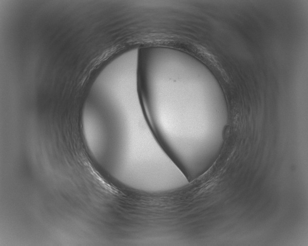 X0000051910633200507011534