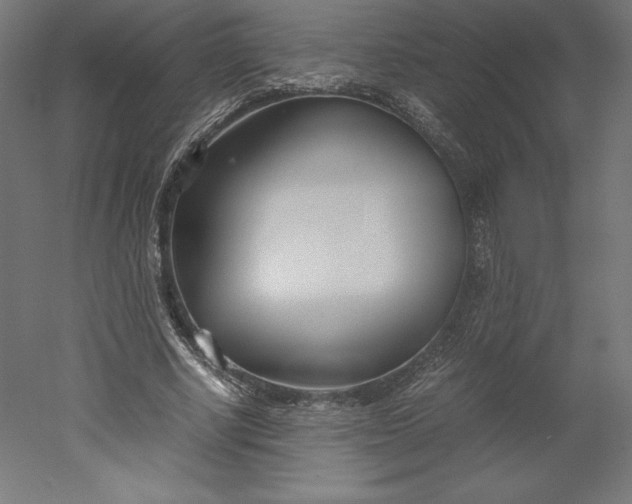 X0000051910634200507011534