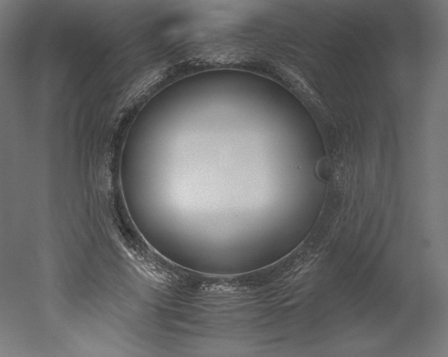 X0000051910635200507011534