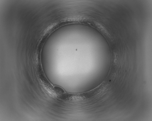 X0000051910636200507011534