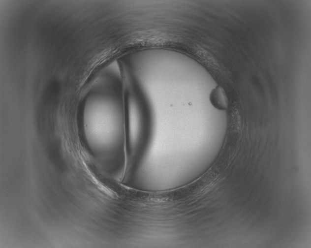 X0000051910638200507011534