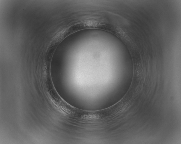 X0000051910639200507011534