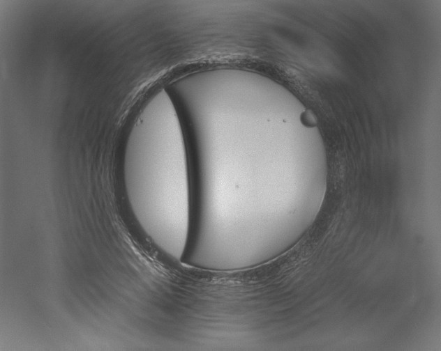 X0000051910640200507011534