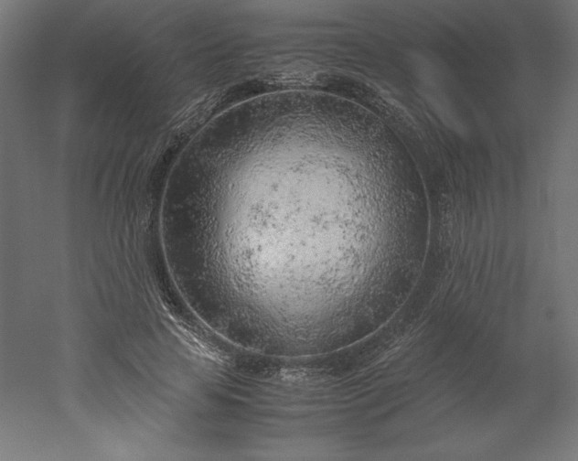 X0000051910641200507011534