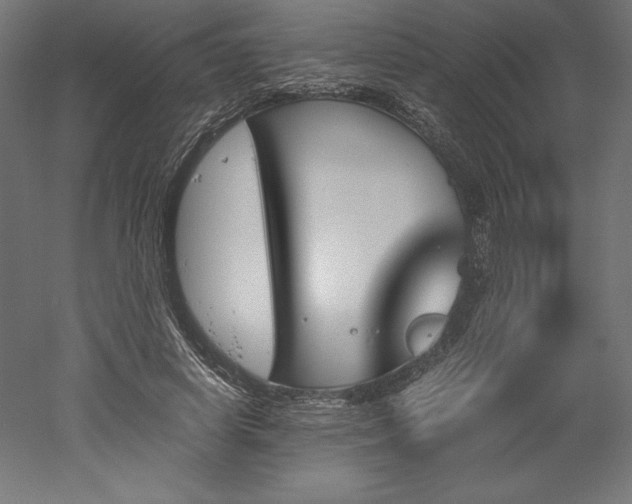 X0000051910642200507011534