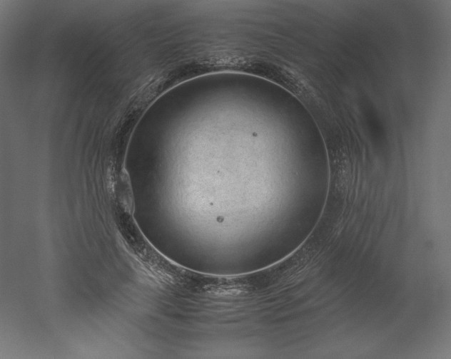 X0000051910643200507011534