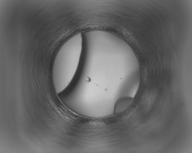 X0000051910644200507011534