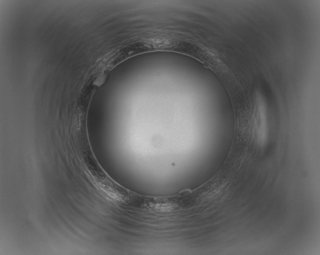 X0000051910645200507011535