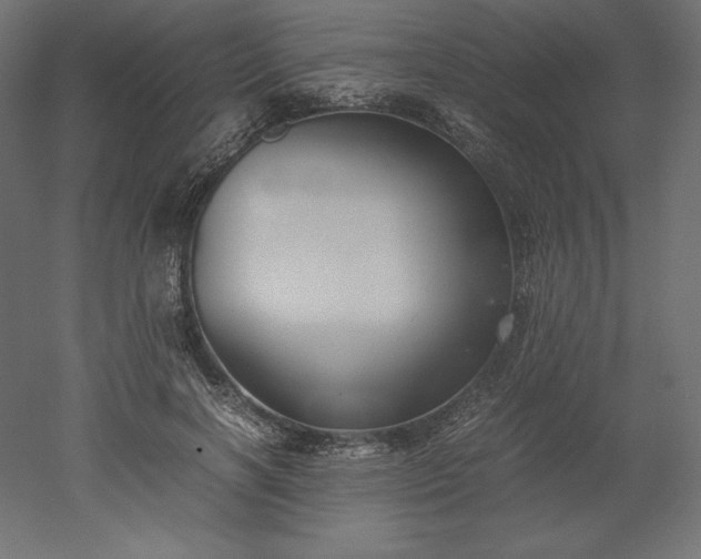 X0000051910646200507011535