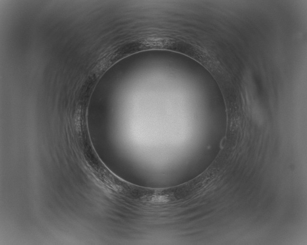 X0000051910647200507011535