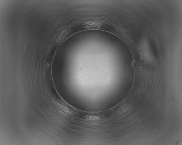 X0000051910649200507011535