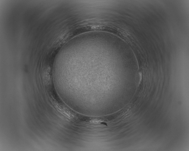 X0000051910650200507011535