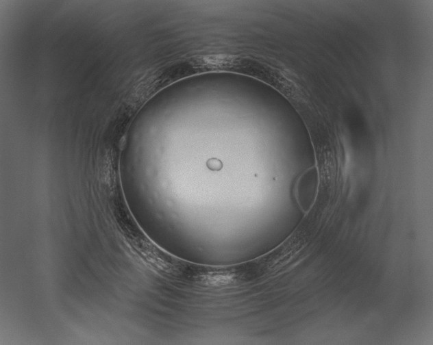 X0000051910651200507011535