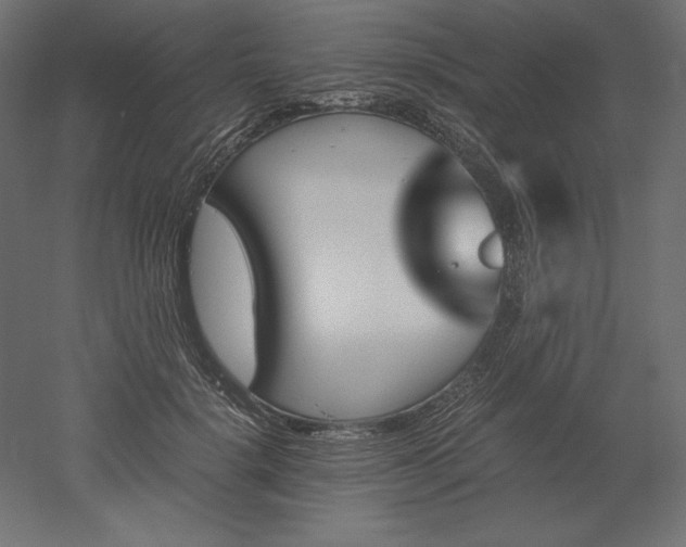 X0000051910652200507011535