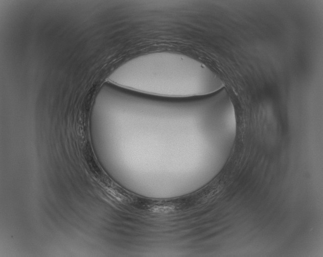 X0000051910653200507011535