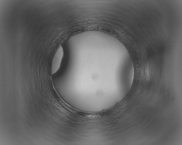 X0000051910654200507011535