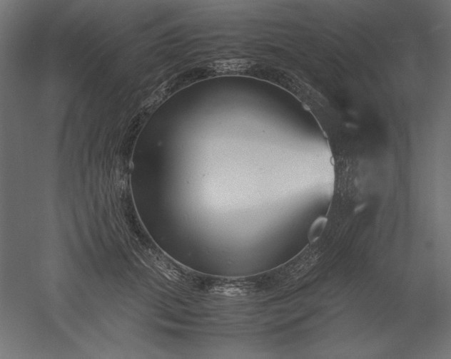 X0000051910655200507011535