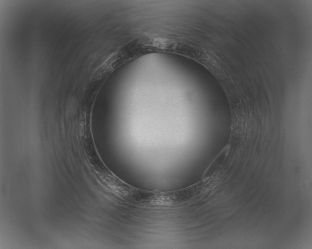 X0000051910656200507011535