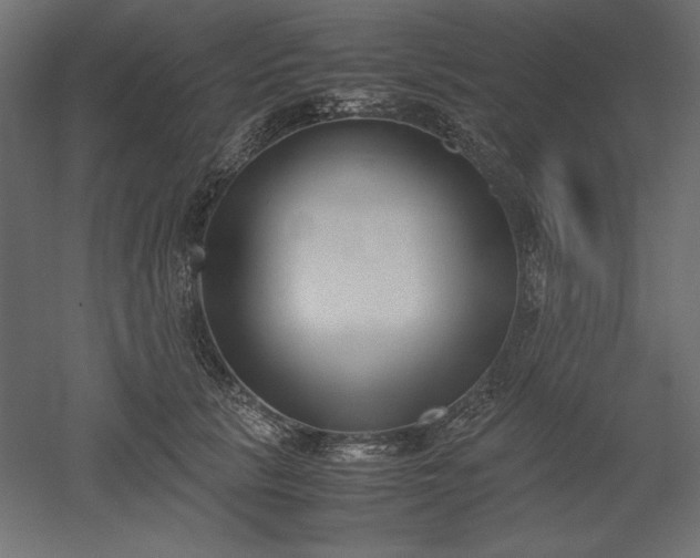 X0000051910657200507011535