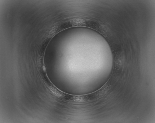 X0000051910658200507011535