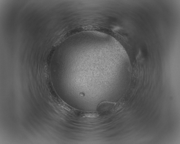 X0000051910659200507011535