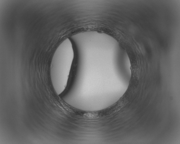 X0000051910660200507011535