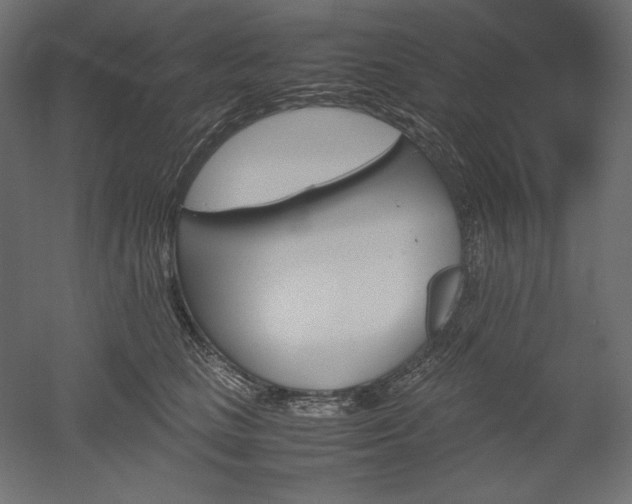 X0000051910661200507011535