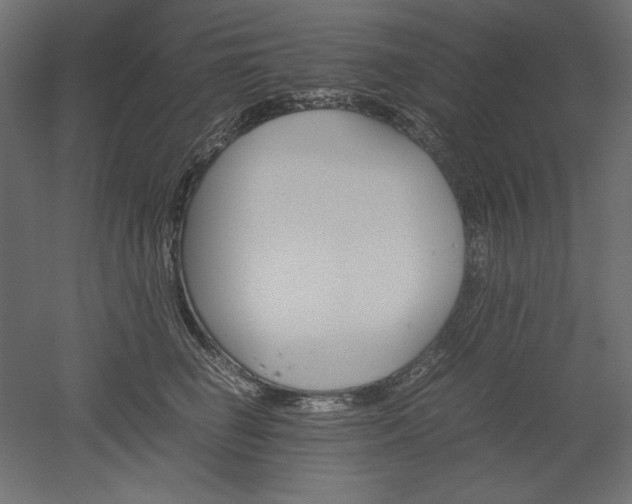 X0000051910662200507011535