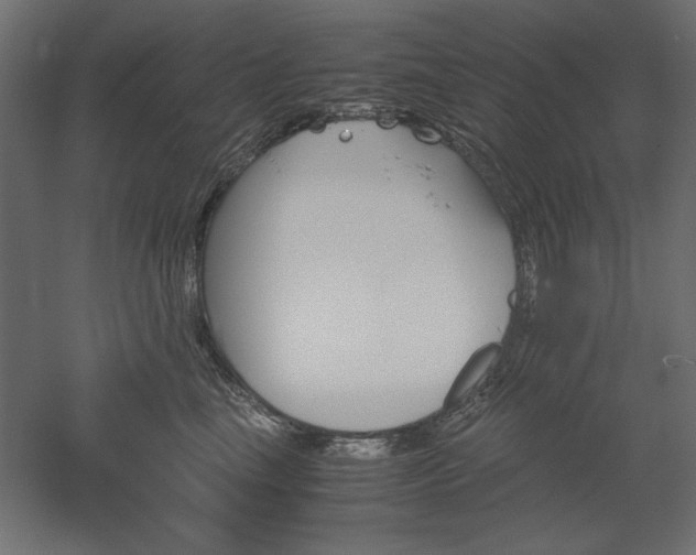 X0000051910665200507011535