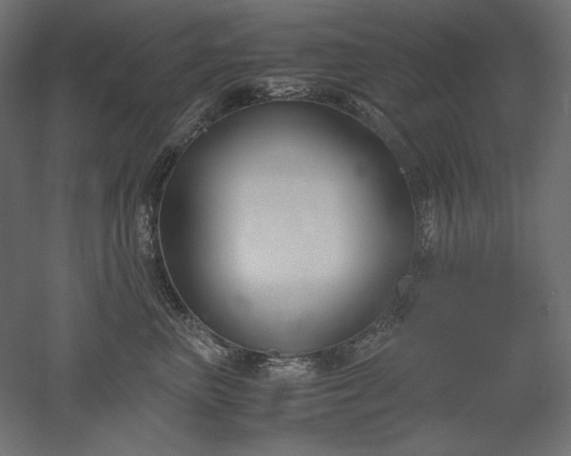 X0000051910667200507011535