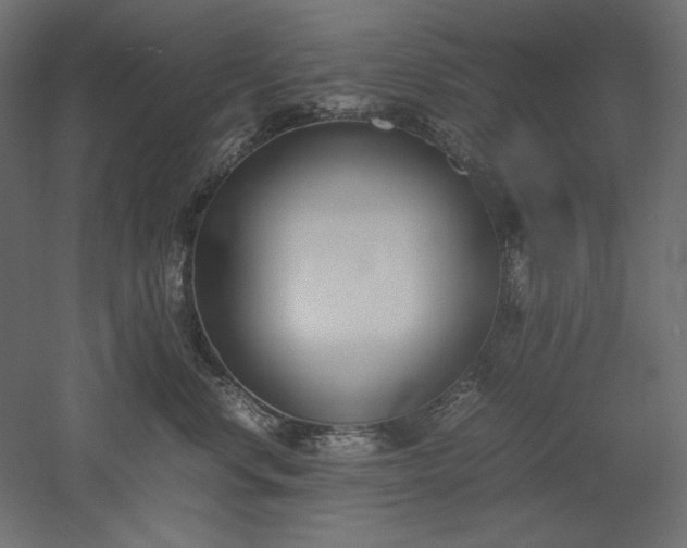 X0000051910668200507011535