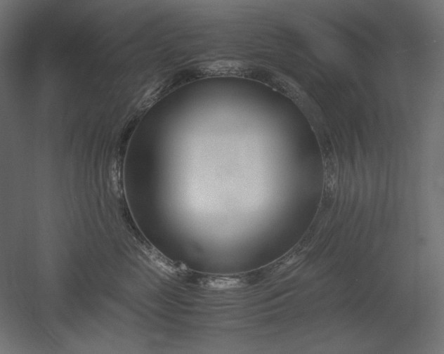 X0000051910669200507011535