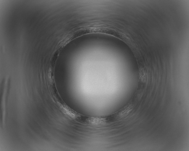 X0000051910670200507011535