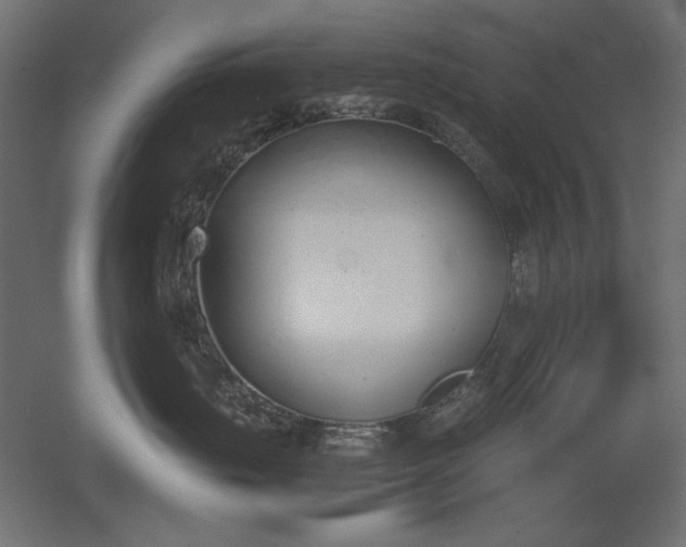 X0000051910671200507011535