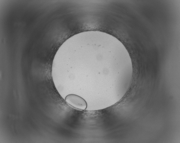 X0000051910672200507011535