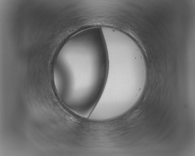 X0000051910673200507011534