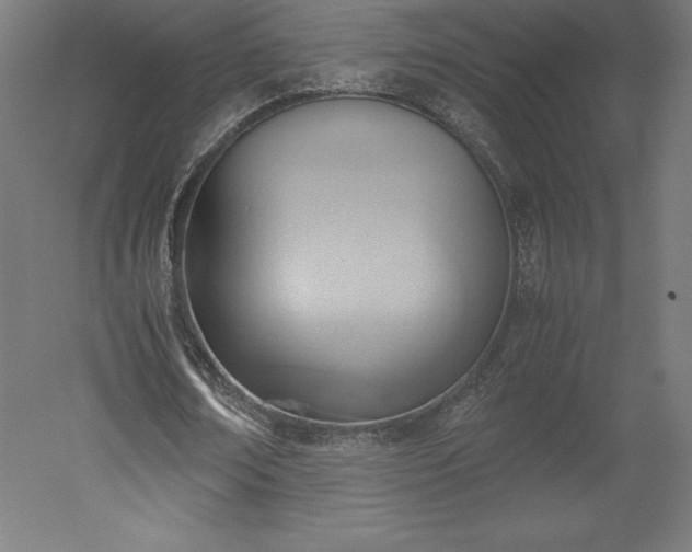 X0000051910674200507011534