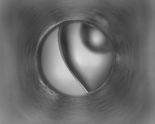 X0000051910676200507011534