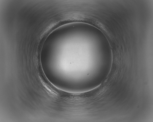 X0000051910677200507011534