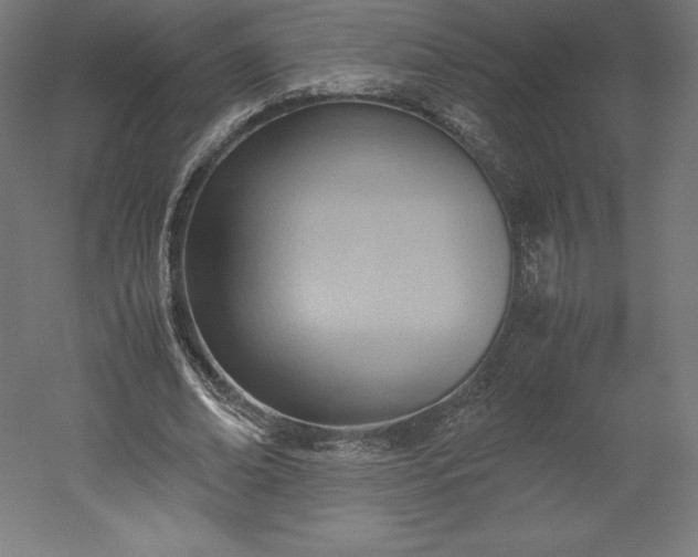 X0000051910678200507011534