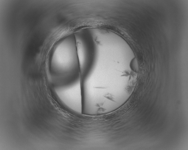 X0000051910679200507011534