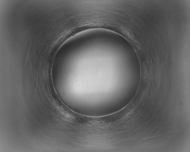 X0000051910681200507011534