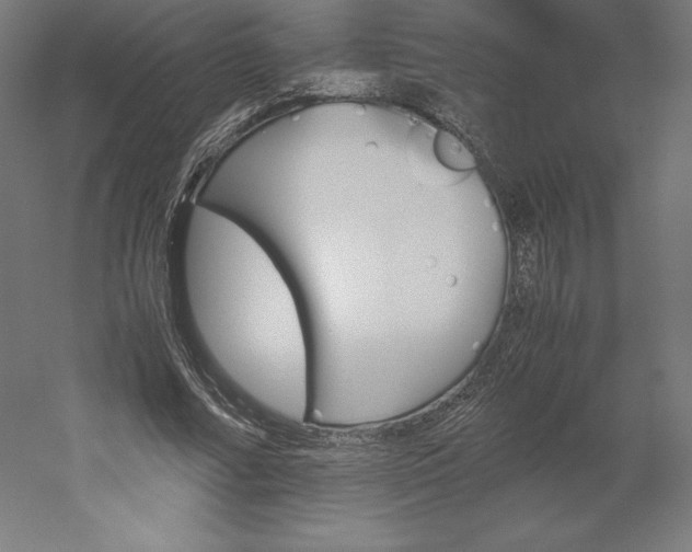 X0000051910682200507011534