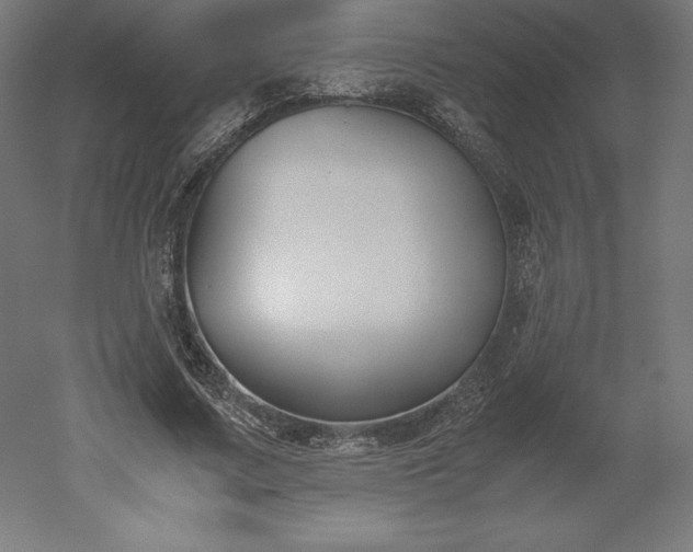 X0000051910683200507011534